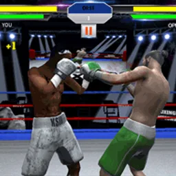 Punch Boxing Championship